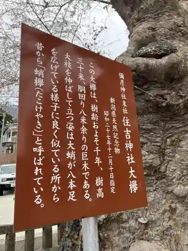 住吉神社（彌彦神社境外末社）(新潟県)