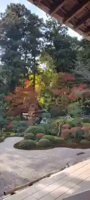 龍潭寺(静岡県)