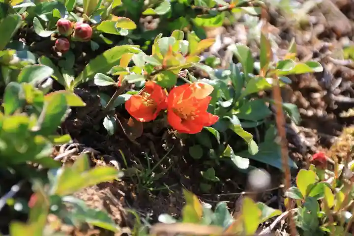 大六天麻王神社の庭園