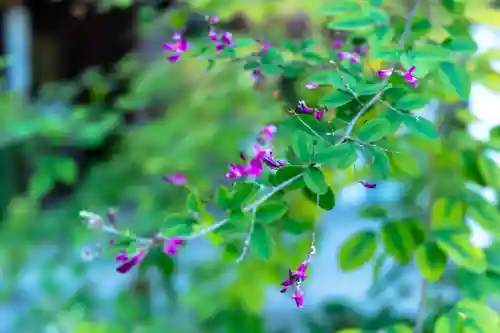 梨木神社(京都府)