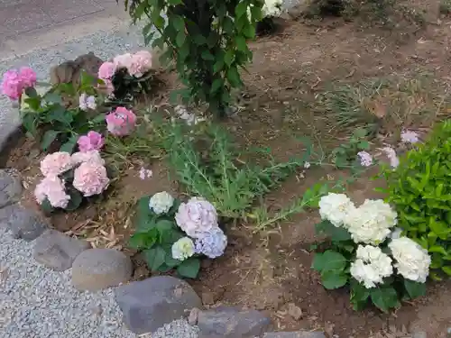 妙法寺(神奈川県)