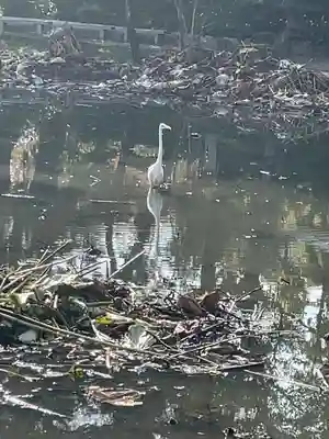 白山神社(新潟県)