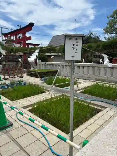 東京羽田 穴守稲荷神社(東京都)