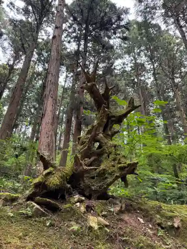 御岩神社(茨城県)