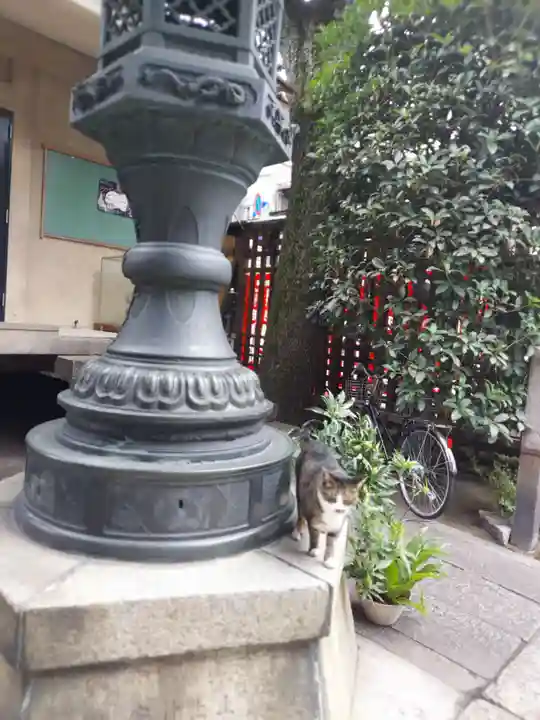 平等寺(因幡堂)の動物