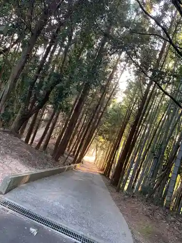 綿津見神社の建物その他