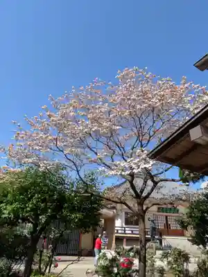 禅定院(東京都)