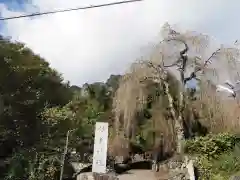 妙義神社の景色