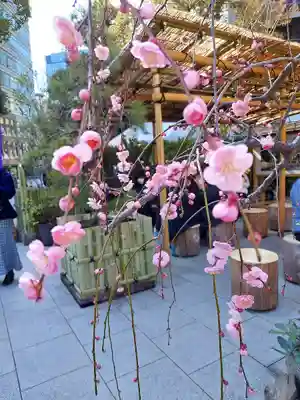 東京大神宮(東京都)