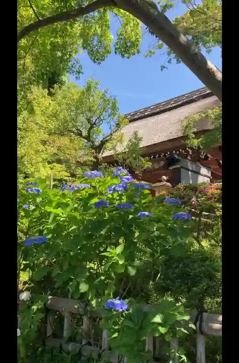 深大寺(東京都)
