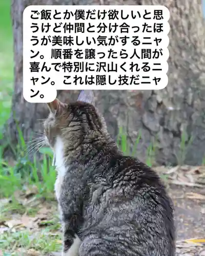 専念寺(大阪府)