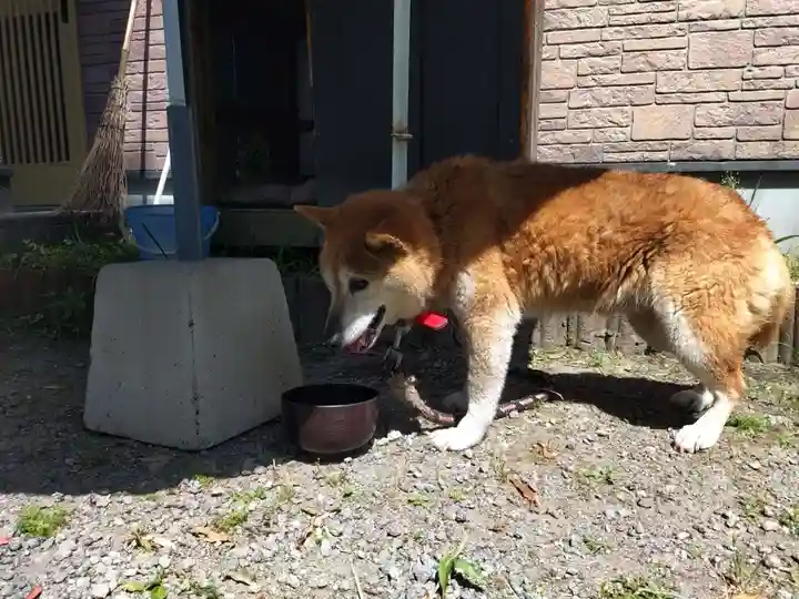 伊勢神社(鹿児島県)