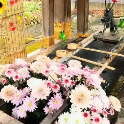 彌彦神社　(伊夜日子神社)の手水舎
