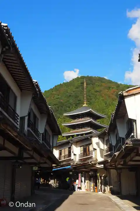 清大寺(越前大仏)(福井県)