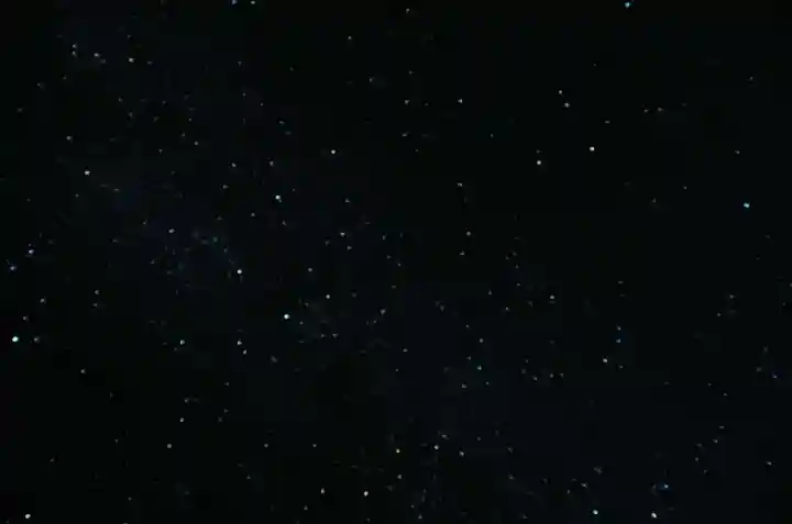 三峯神社の自然