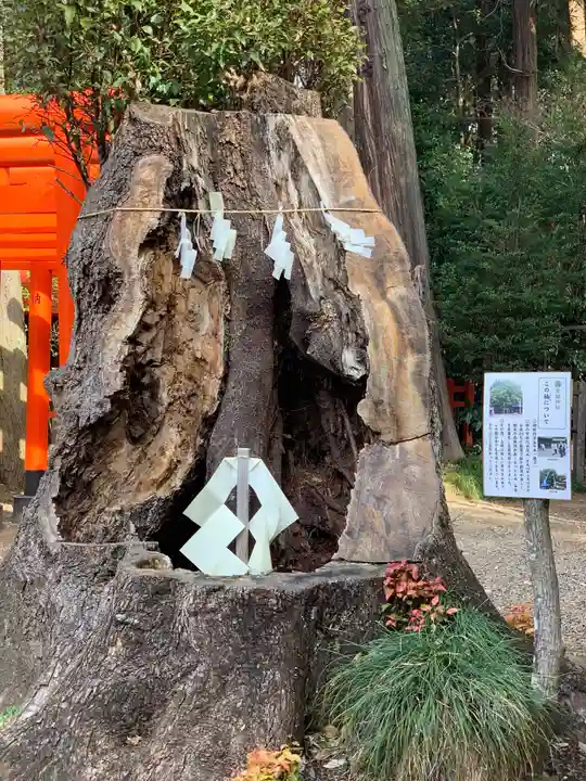 常磐神社の自然