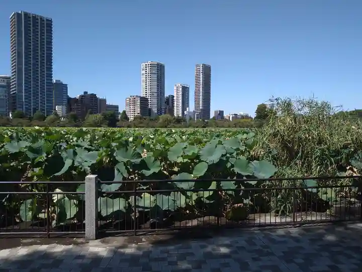 寛永寺不忍池弁天堂の自然