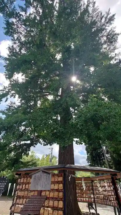 秋保神社(宮城県)
