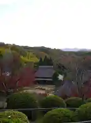 神勝寺の景色