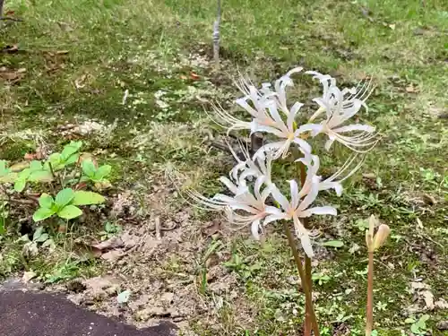 伊勢の国 四天王寺の自然