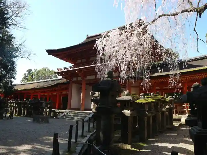春日大社(奈良県)