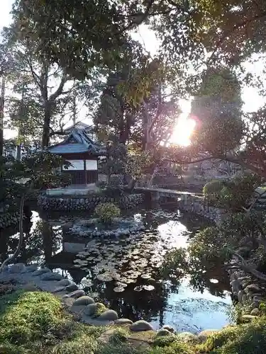 蓮花院の庭園