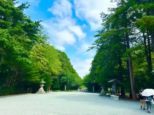 北海道神宮の景色