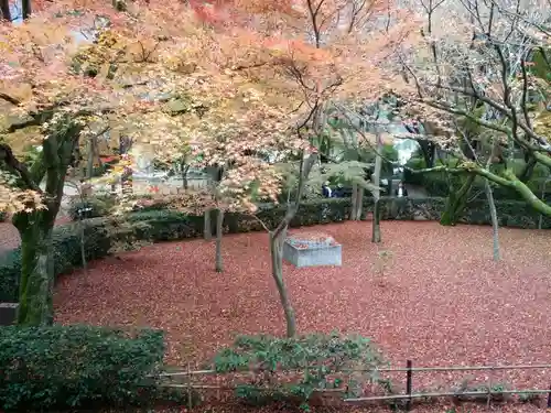 真正極楽寺（真如堂）の庭園