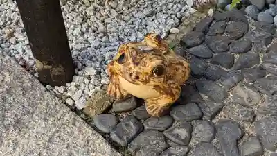 荘厳寺(京都府)