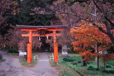 蚊里田八幡宮(長野県)