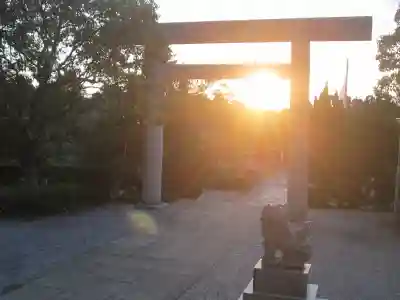 屋久島大社の鳥居