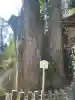 榛名神社の{uncategorized: "未分類", other: "その他", undefined: "問題あり", building: "その他建物", grave: "お墓", sacred_gate: "鳥居", guardian: "狛犬", statue: "像", buddha: "仏像", history: "歴史", nature: "自然", garden: "庭園", animal: "動物", pagoda: "塔", temizu: "手水舎", mountain_gate: "山門・神門", sanctuary: "本殿・本堂", subordinate: "末社・摂社", art: "芸術", scenery: "景色", jizo: "地蔵", ema: "絵馬", goshuin: "御朱印", omikuji: "おみくじ", items: "授与品その他", amulet: "お守り", goshuincho: "御朱印帳", eats: "食事", festival: "お祭り", votive_dance: "神楽", shichigosan: "七五三参", wedding: "結婚式", experience: "体験その他", initially: "初詣", around: "周辺", anti_infection: "感染症対策"}