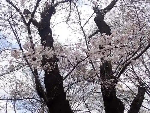 孝道山の御朱印