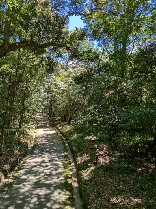 宇佐神宮(大分県)