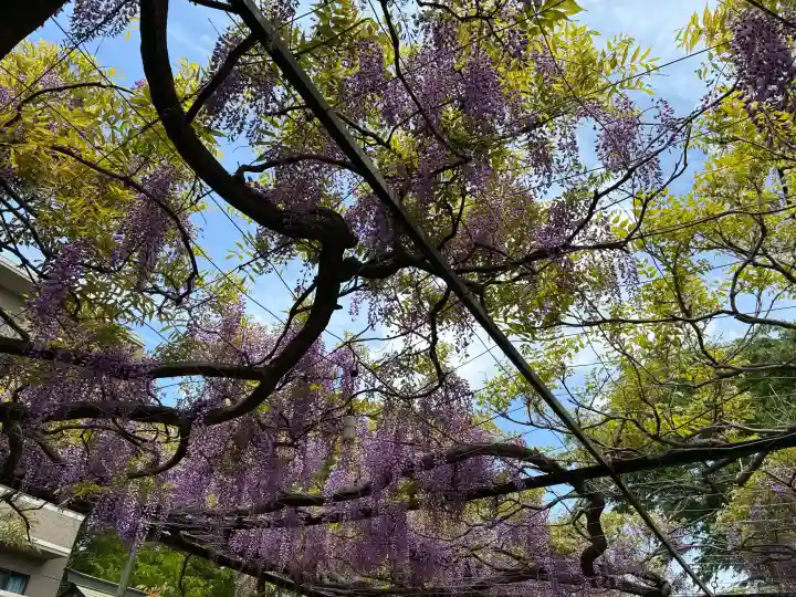 國領神社の{uncategorized: "未分類", other: "その他", undefined: "問題あり", building: "その他建物", grave: "お墓", sacred_gate: "鳥居", guardian: "狛犬", statue: "像", buddha: "仏像", history: "歴史", nature: "自然", garden: "庭園", animal: "動物", pagoda: "塔", temizu: "手水舎", mountain_gate: "山門・神門", sanctuary: "本殿・本堂", subordinate: "末社・摂社", art: "芸術", scenery: "景色", jizo: "地蔵", ema: "絵馬", goshuin: "御朱印", omikuji: "おみくじ", items: "授与品その他", amulet: "お守り", goshuincho: "御朱印帳", eats: "食事", festival: "お祭り", votive_dance: "神楽", shichigosan: "七五三参", wedding: "結婚式", experience: "体験その他", initially: "初詣", around: "周辺", anti_infection: "感染症対策"}
