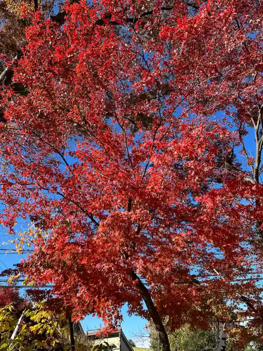 小野神社(東京都)