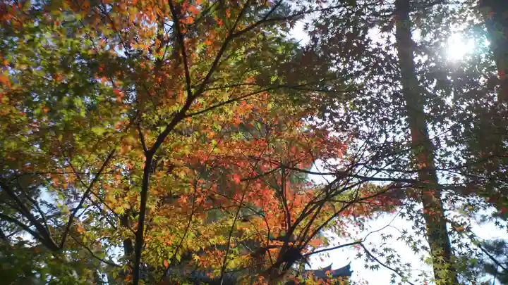 仁和寺(京都府)