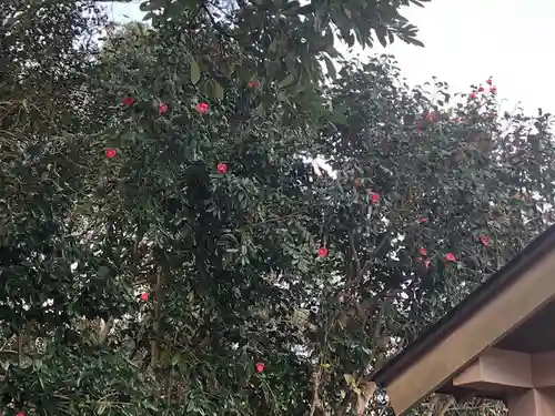 九頭竜様の自然