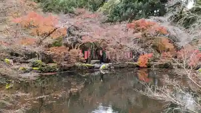 醍醐寺(京都府)