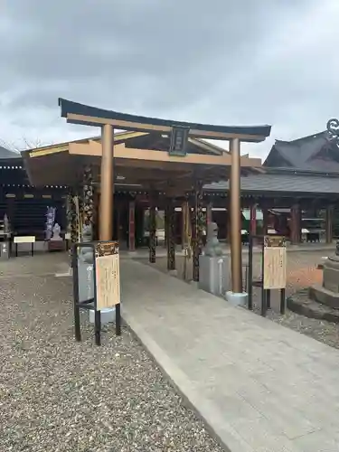 大杉神社(茨城県)