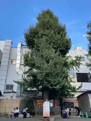 天祖神社(東京都)
