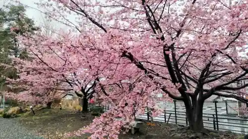 佐野原神社(静岡県)
