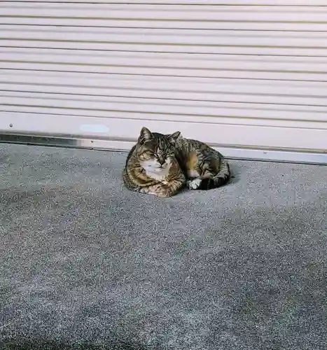 白金氷川神社の動物