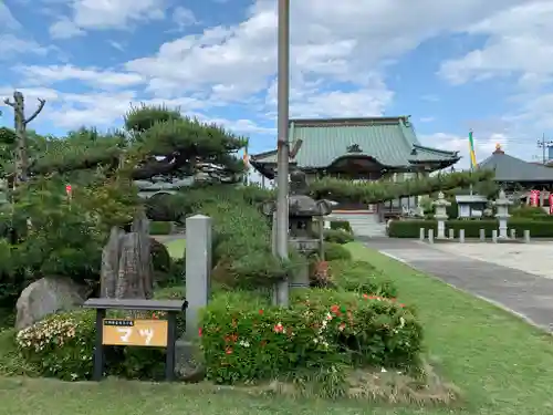 開雲寺のその他建物