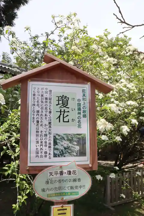 唐招提寺(奈良県)