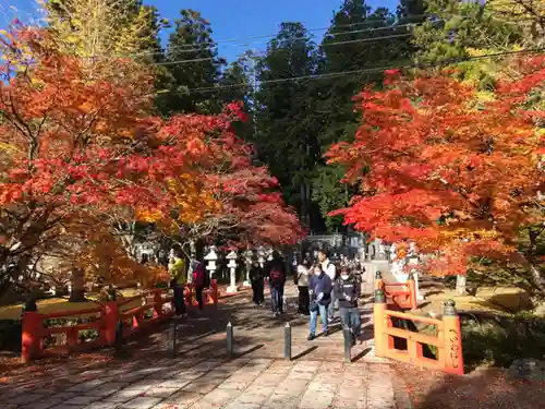 高野山金剛峯寺奥の院(和歌山県)