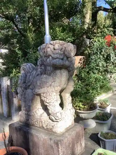 白山神社（新栄）の狛犬