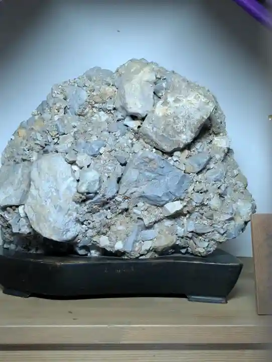 建部大社の{uncategorized: "未分類", other: "その他", undefined: "問題あり", building: "その他建物", grave: "お墓", sacred_gate: "鳥居", guardian: "狛犬", statue: "像", buddha: "仏像", history: "歴史", nature: "自然", garden: "庭園", animal: "動物", pagoda: "塔", temizu: "手水舎", mountain_gate: "山門・神門", sanctuary: "本殿・本堂", subordinate: "末社・摂社", art: "芸術", scenery: "景色", jizo: "地蔵", ema: "絵馬", goshuin: "御朱印", omikuji: "おみくじ", items: "授与品その他", amulet: "お守り", goshuincho: "御朱印帳", eats: "食事", festival: "お祭り", votive_dance: "神楽", shichigosan: "七五三参", wedding: "結婚式", experience: "体験その他", initially: "初詣", around: "周辺", anti_infection: "感染症対策"}