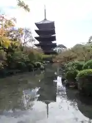 東寺（教王護国寺）(京都府)