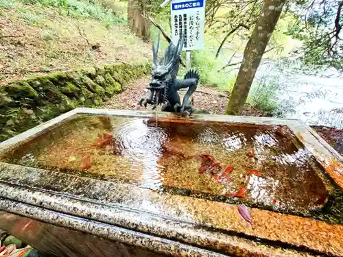 九頭龍神社本宮(神奈川県)